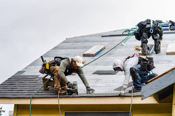 Professional Gutter Installation technician working in Belleville, WI